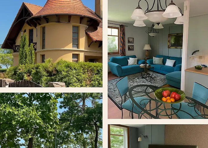 Szilvia 5 Schritte Zum